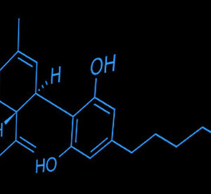 CBD (Cannabidiol)