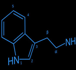 Tryptamines