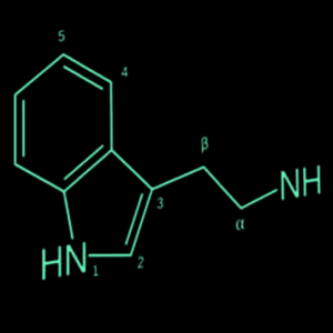 Phenethylamines